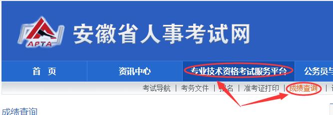 安徽省二建成績查詢?nèi)肟冢喊不帐∪耸驴荚嚲W(wǎng)